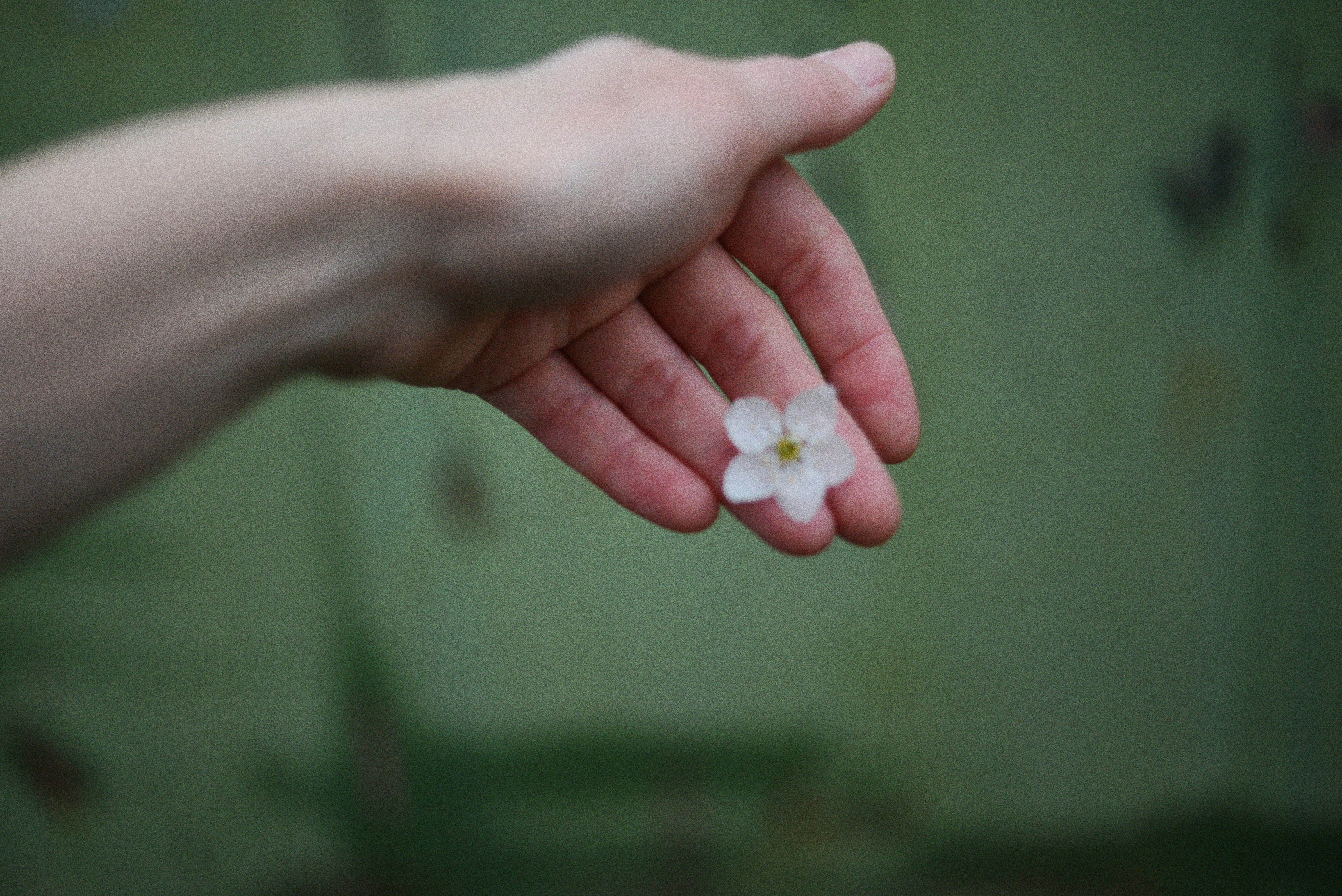 Gift of Empathy