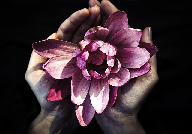 spiritual growth spiritual growth