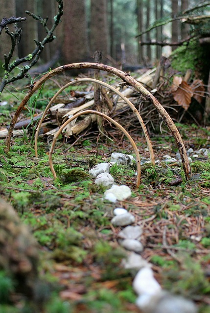 Shamanic path