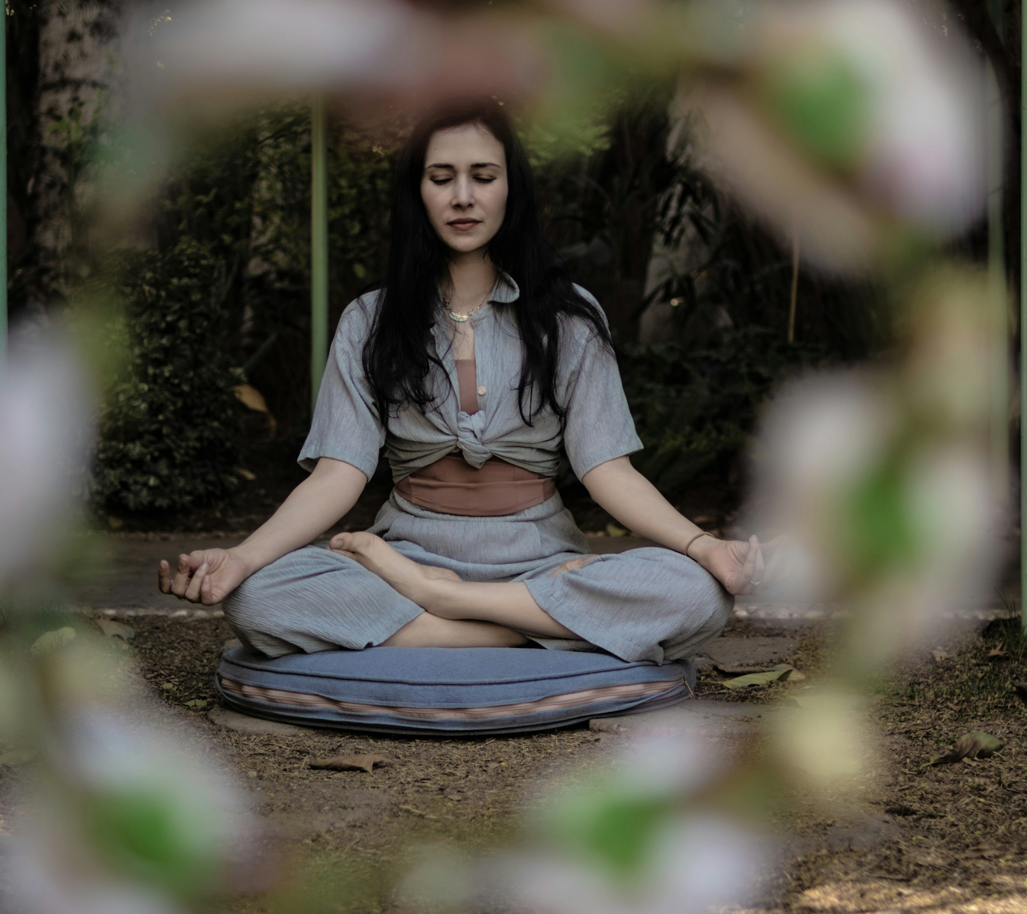 Shamanic Practitioner
