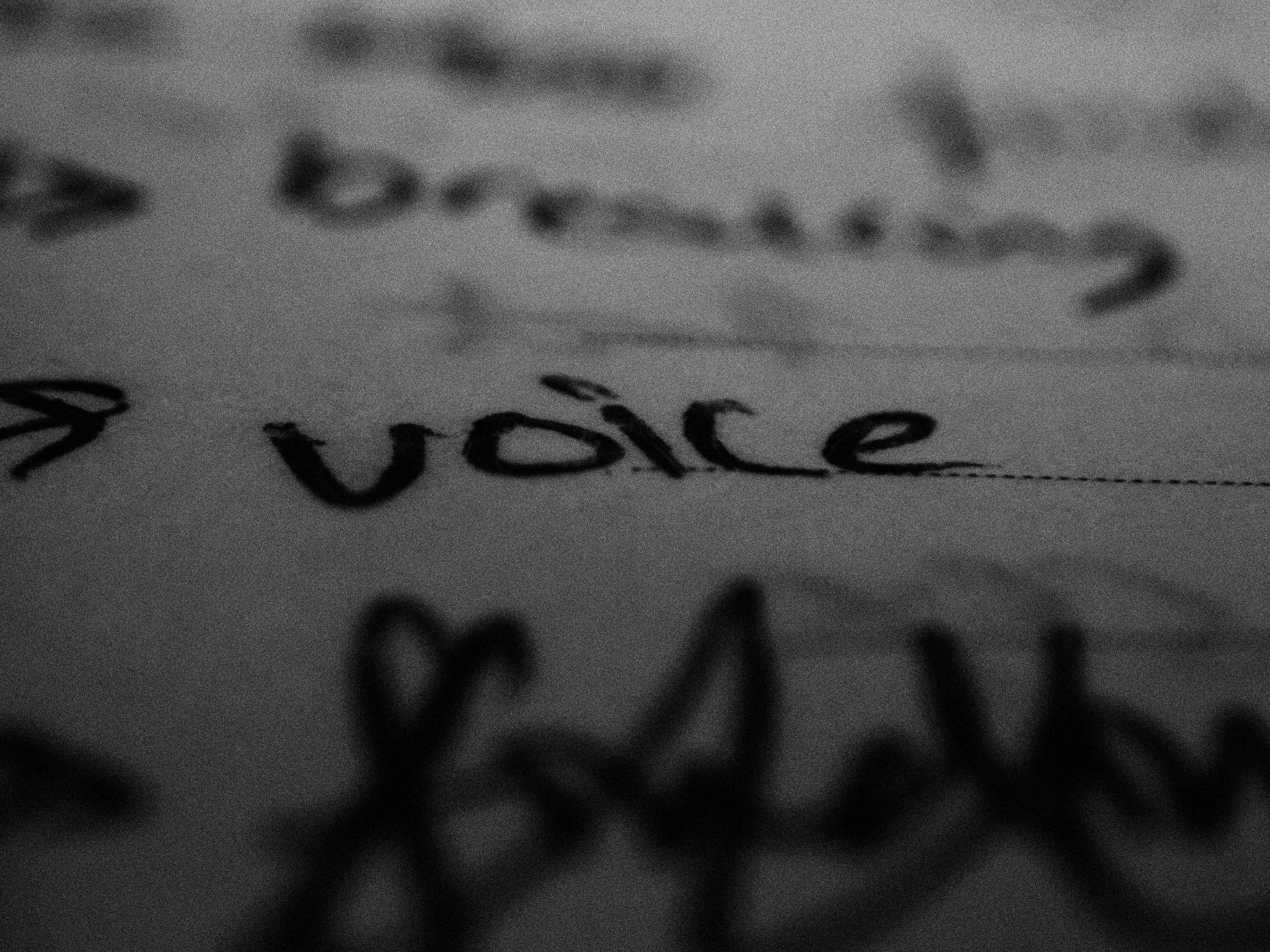 use your voice