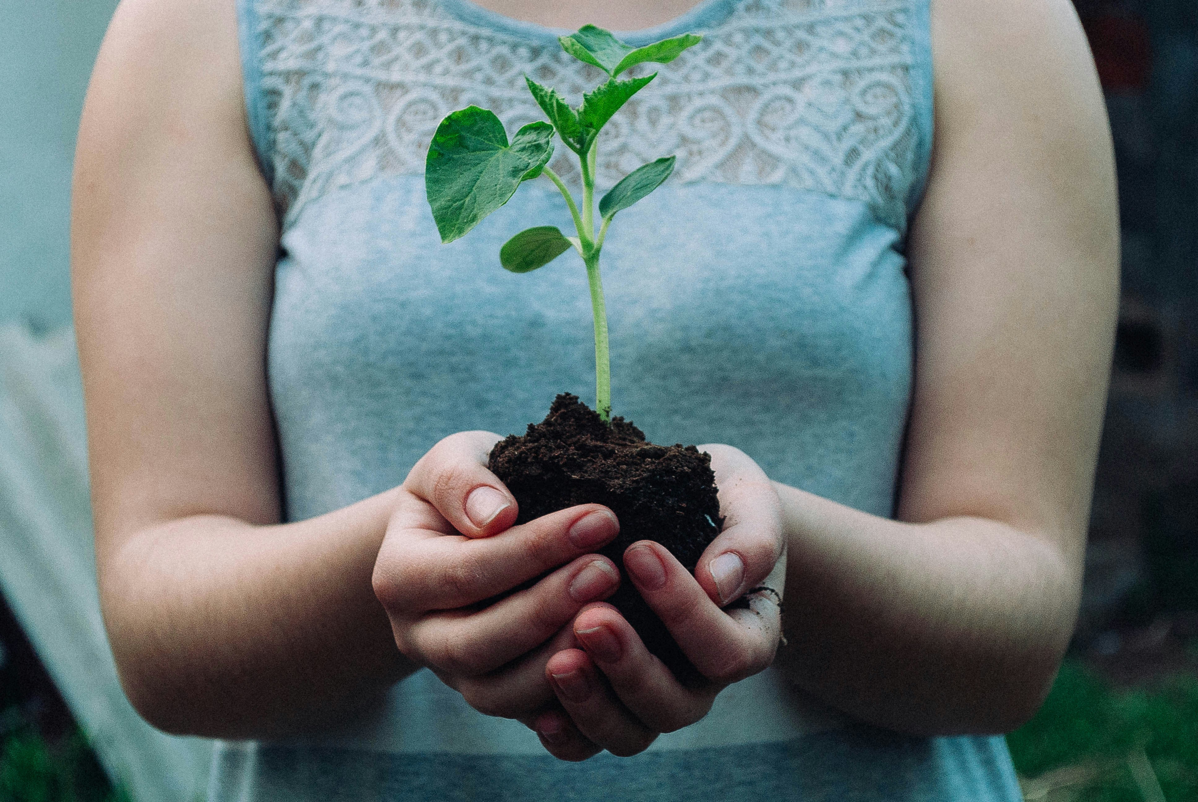 how to develop your spiritual gifts