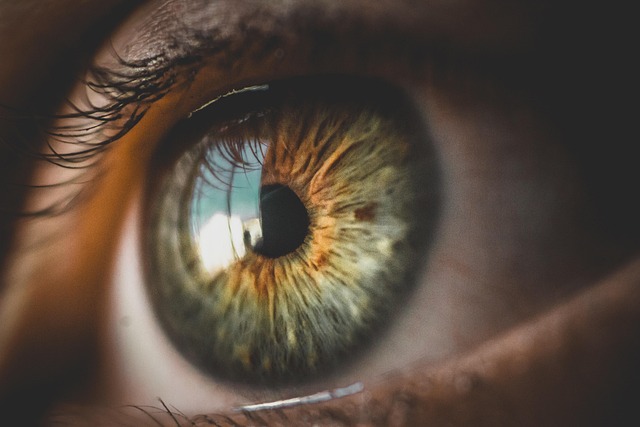 Shamanic Vision