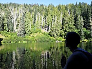 Person by a lake in prayer reflecting clarity, inner peace, and spiritual alignment