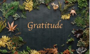 gratitude text surrounded by leaves and natural elements symbolizing appreciation and presence