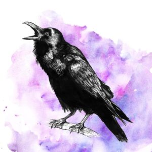 Winter solstice raven medicine symbolizing transformation, darkness, and spiritual renewal