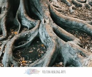 grounding through tree roots connecting deeply to the earth