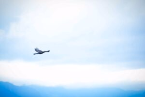 self care supporting emotional healing and inner freedom