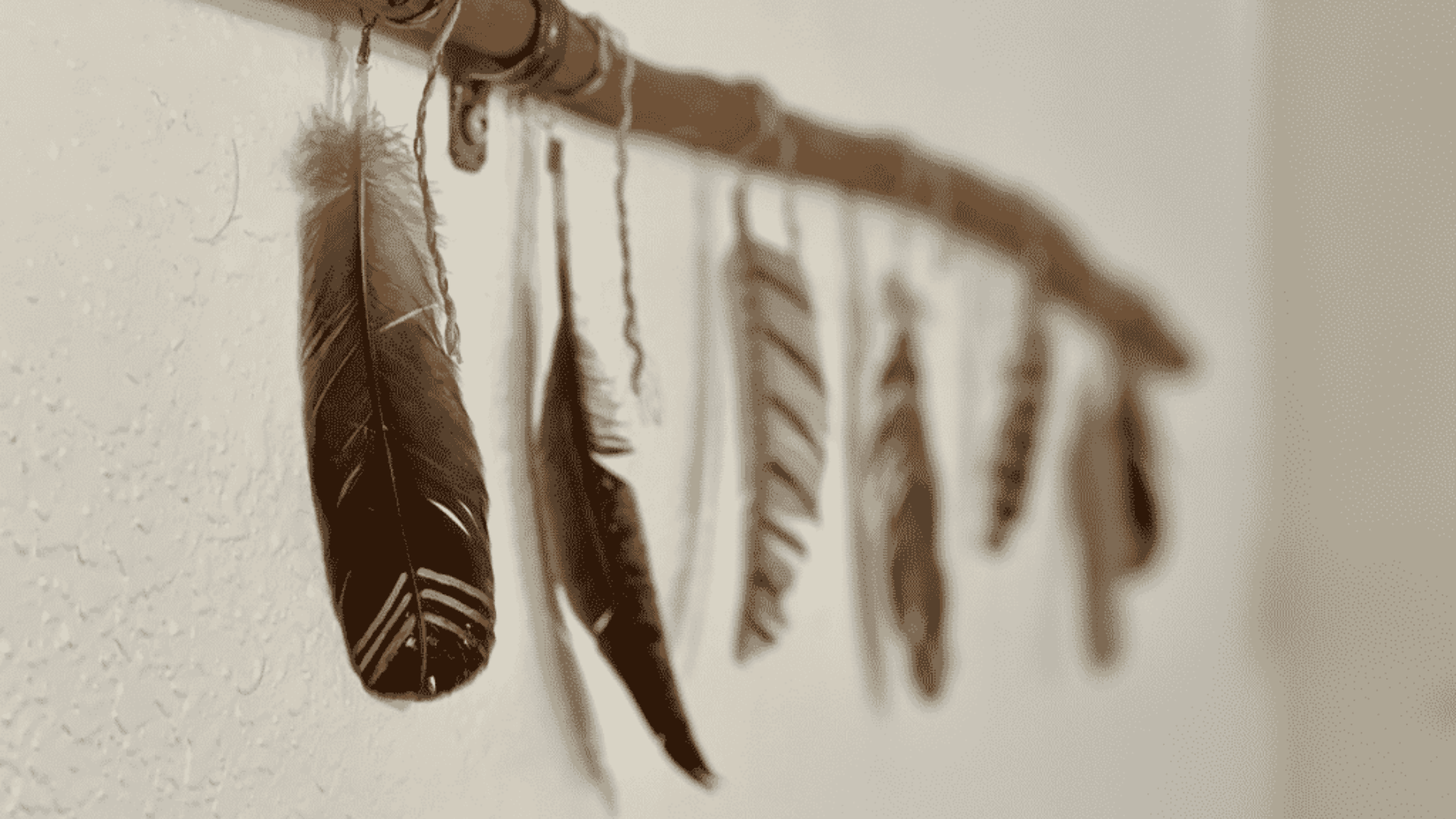 Feathers hanging from a wooden stick, symbolizing spiritual connection, shamanic tools, and communication with the unseen realms