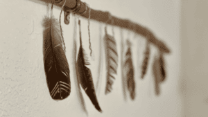 Shamanic Feathers