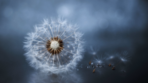 https://holtonhealingarts.com/?p=9542&preview=true