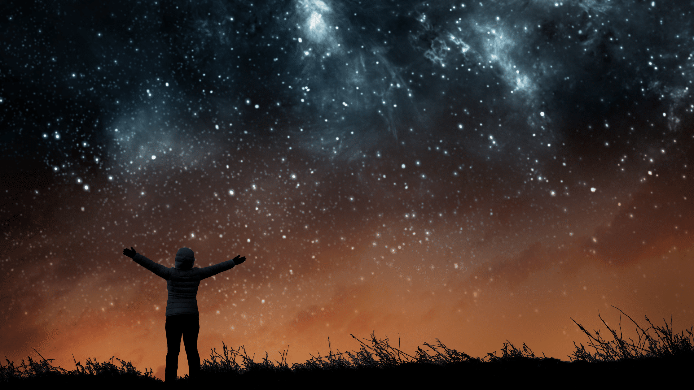 Starseeds