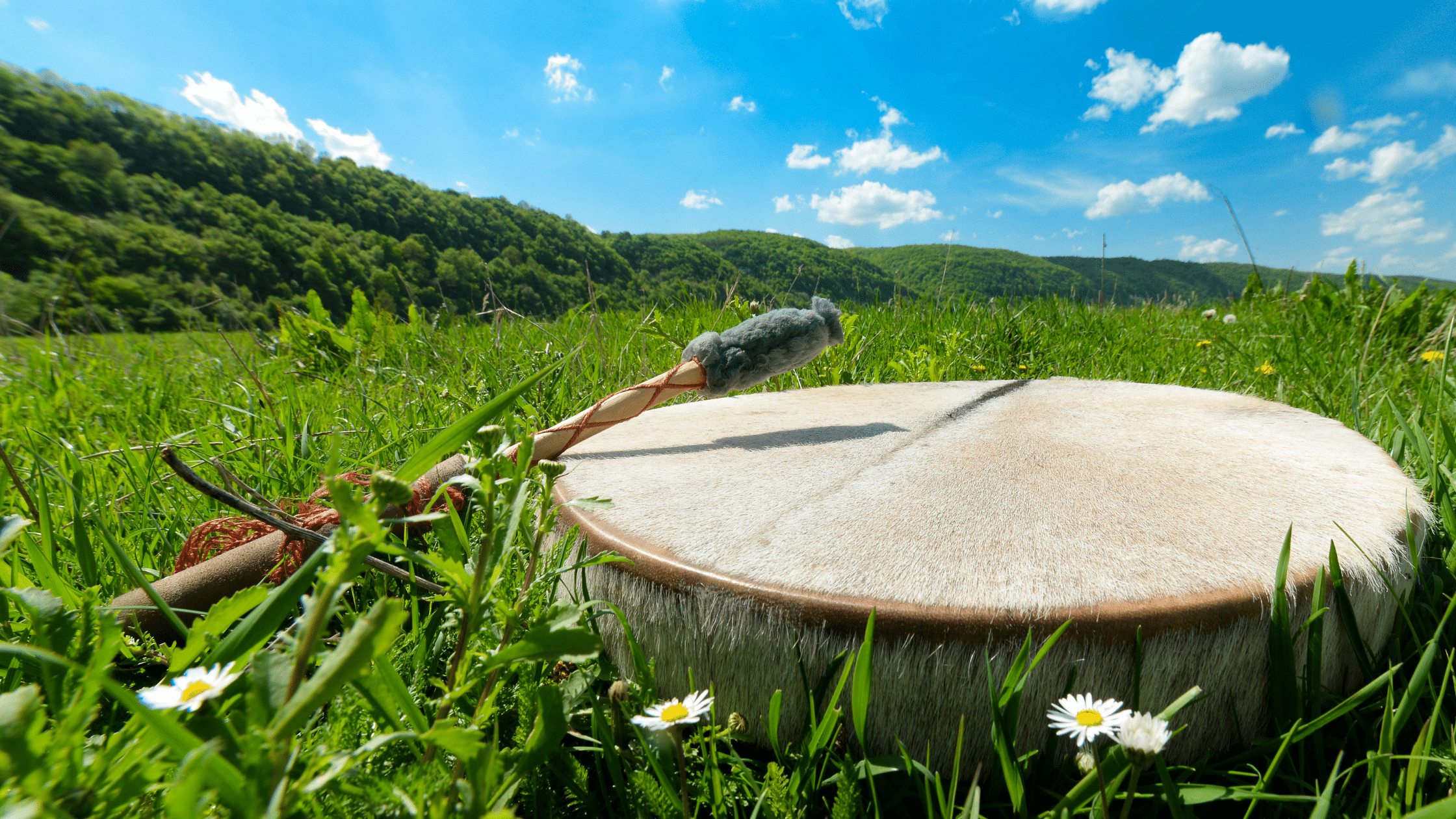 Shamanic drum and mallet resting in grass outdoors, used for shamanic journeying and altered states of consciousness