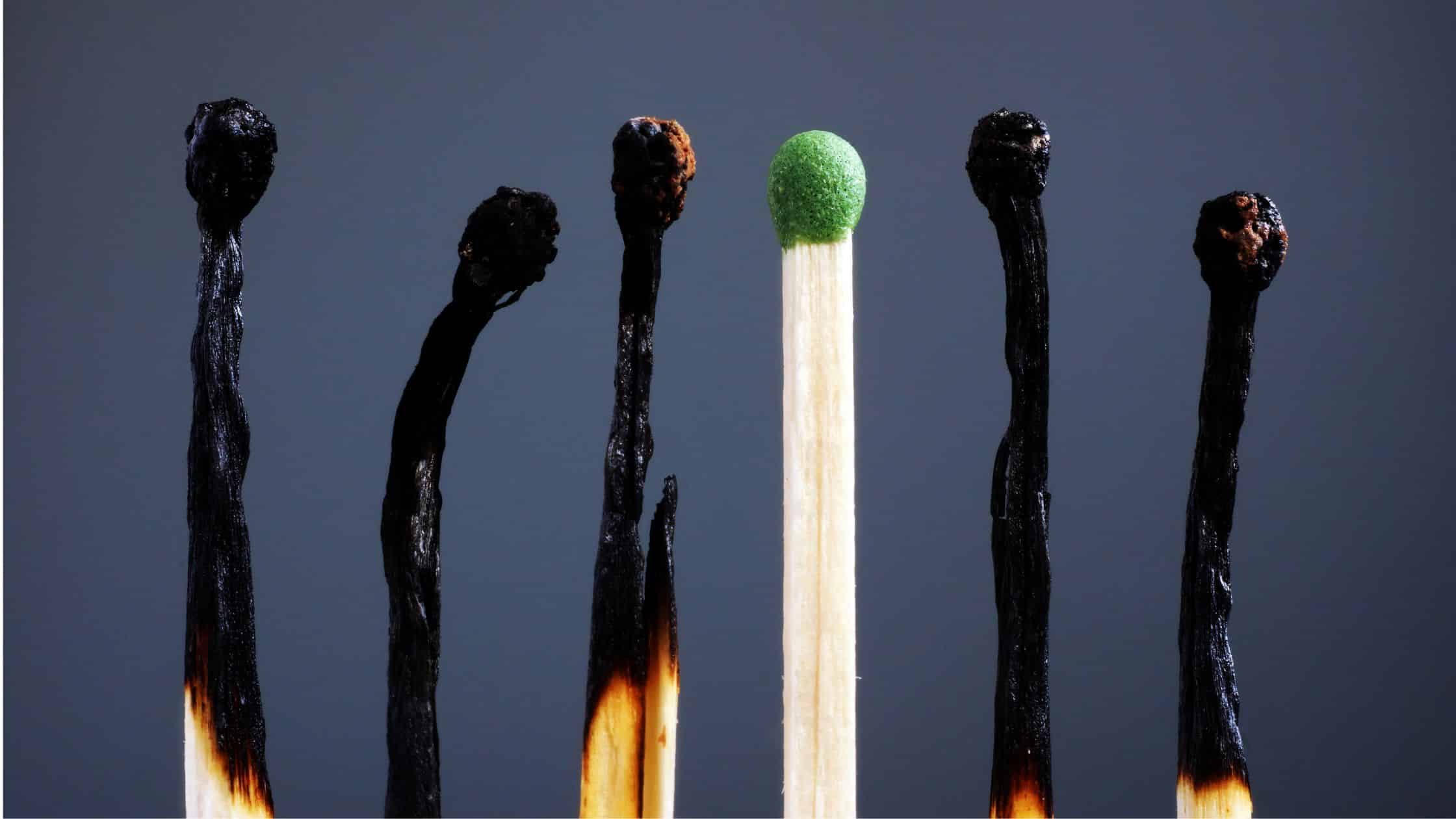 A group of burned-out matches with one unburned match in the center, symbolizing recovery from burnout and nervous system restoration.