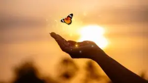 Hand reaching toward a glowing butterfly at sunset symbolizing spiritually transformative experiences and moving from 3D to 5D awareness.