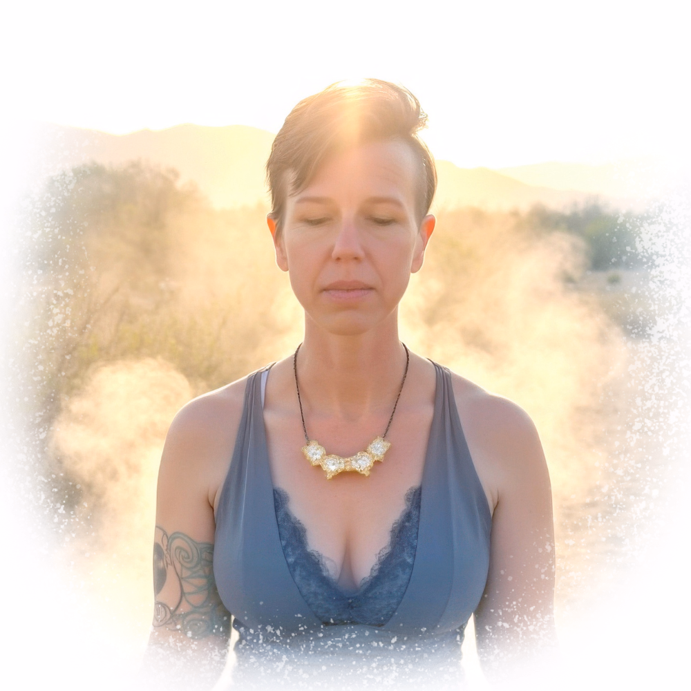 SpiritBird healing and transformational coaching artwork for The Healing Journey at Holton Healing Arts