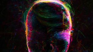 Abstract neon light painting of a human head symbolizing why psychedelics don't heal everyone and the complexity of consciousness in psychedelic healing